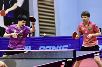 桌球／林昀儒陳思羽WTT曼谷球星挑戰賽 晉混雙8強為奧運熱身