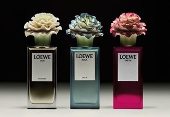 【LOEWE】LOEWE攜手西班牙國寶級瓷藝品牌「LLADRÓ雅緻」，結合精湛的手工藝歷史，共同推出限定合作香氛系列作品，即日起於LOEWE香氛精品店獨家販售。 /